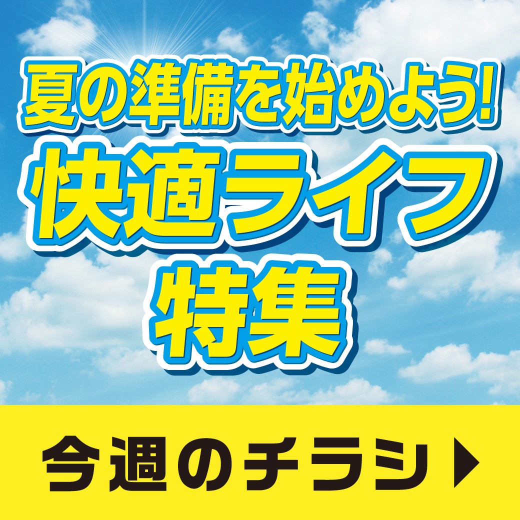 チラシ